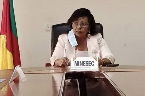 Dr. Pauline Nalova Lyonga’s Silence in the Face of Atrocities: A Call for
Accountability in the Aftermath of Brutal Violence and Rape of dozens of
University of Buea Students at the start of the war.