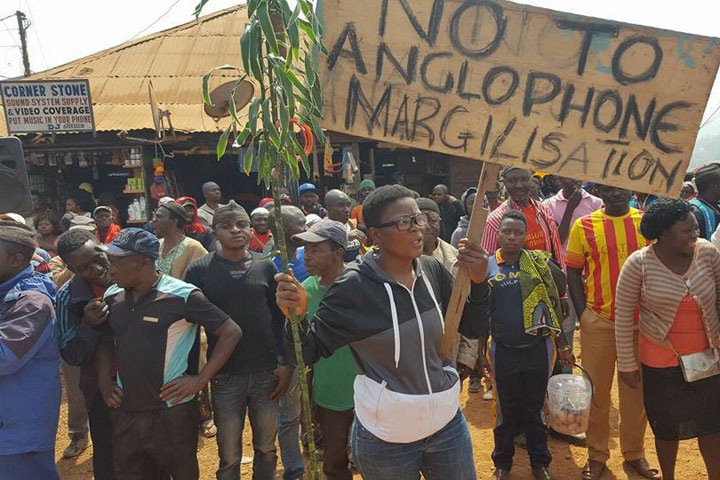 Understanding Devolution as a Pathway to Peace and Stability in Cameroon