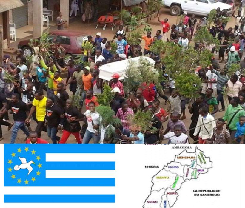 Issues of Forced Overnight Independence : Chaos or Opportunity?