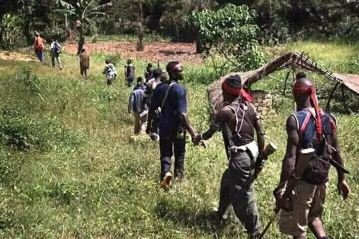 Peace and Justice for the Former British Southern Cameroons: A Historic Appeal at the United Nations